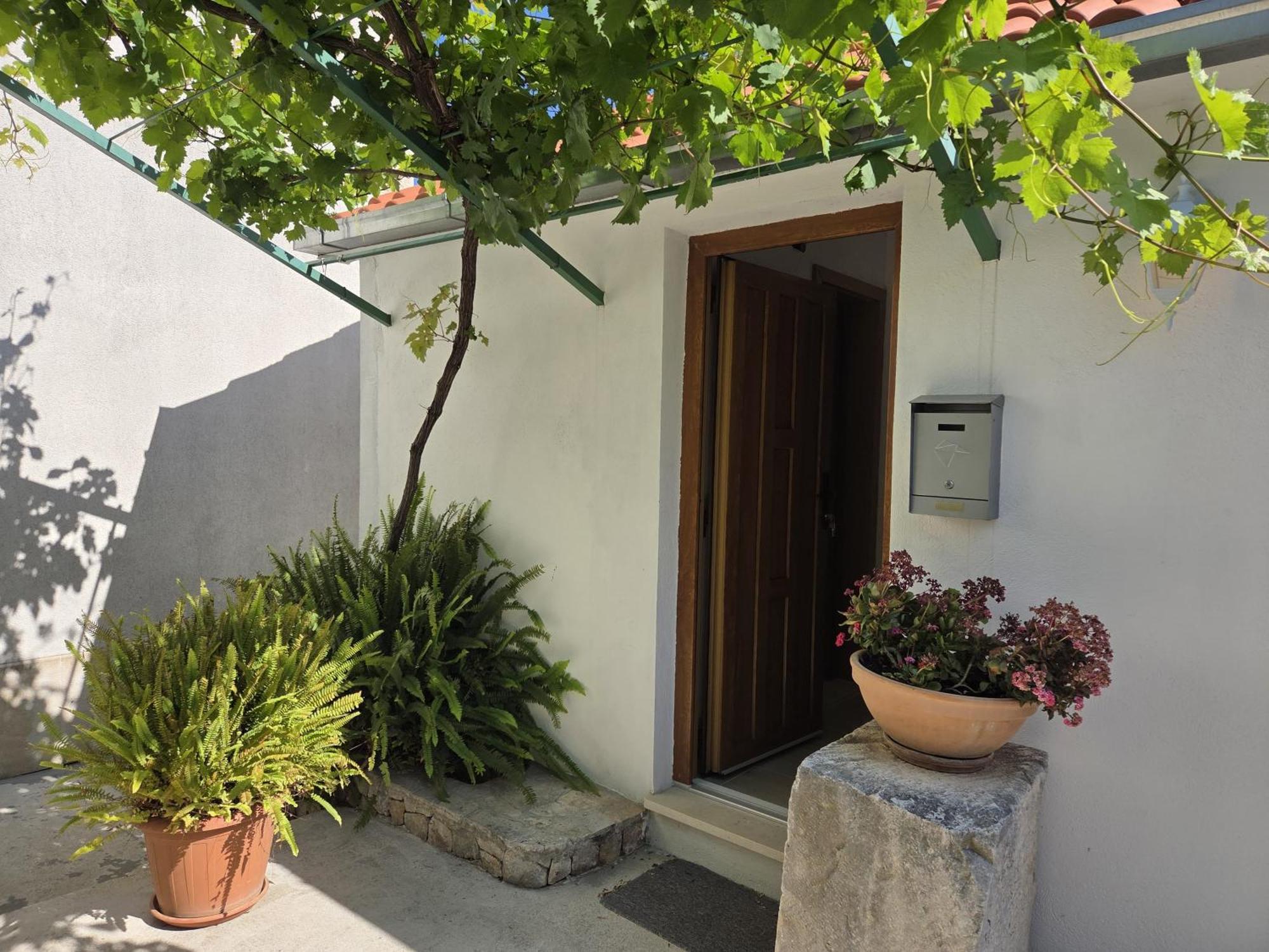 Apartments Jelena Supetar - Four Apartments - A Small House With A Private Yard - Two-Room Apartment With A Sea View - Studio Apartment - Two-Room Apartment With Garden View- Free Parking ภายนอก รูปภาพ